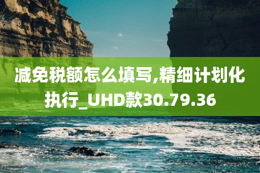 减免税额怎么填写,精细计划化执行_UHD款30.79.36