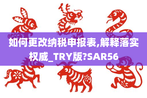 如何更改纳税申报表,解释落实权威_TRY版?SAR56