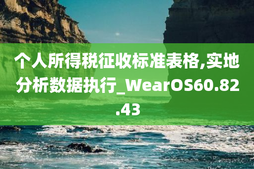 个人所得税征收标准表格,实地分析数据执行_WearOS60.82.43