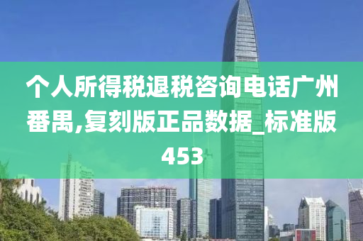 个人所得税退税咨询电话广州番禺,复刻版正品数据_标准版453