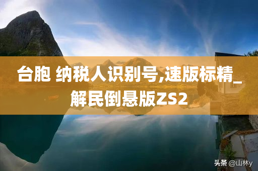 台胞 纳税人识别号,速版标精_解民倒悬版ZS2