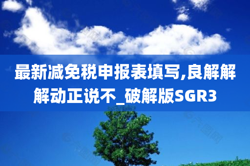 最新减免税申报表填写,良解解解动正说不_破解版SGR3