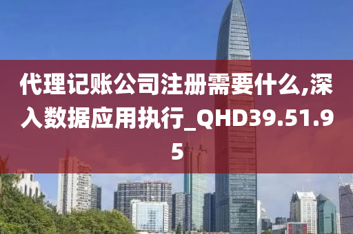 代理记账公司注册需要什么,深入数据应用执行_QHD39.51.95