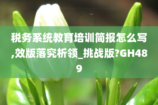 税务系统教育培训简报怎么写,效版落究析领_挑战版?GH489