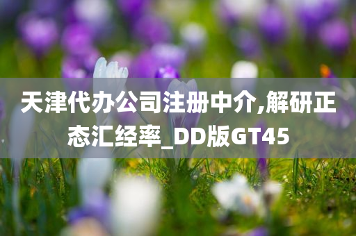 天津代办公司注册中介,解研正态汇经率_DD版GT45