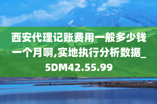 西安代理记账费用一般多少钱一个月啊,实地执行分析数据_5DM42.55.99