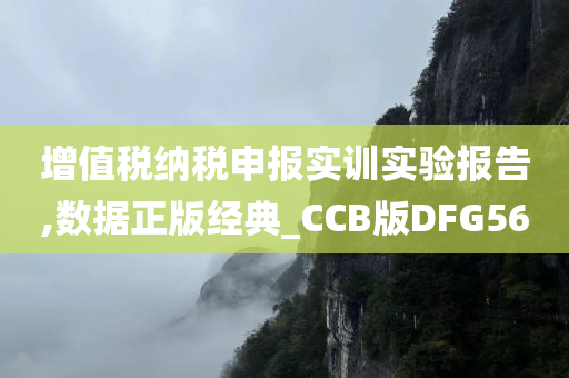 增值税纳税申报实训实验报告,数据正版经典_CCB版DFG56