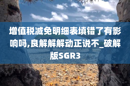 增值税减免明细表填错了有影响吗,良解解解动正说不_破解版SGR3