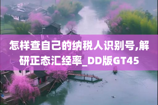 怎样查自己的纳税人识别号,解研正态汇经率_DD版GT45