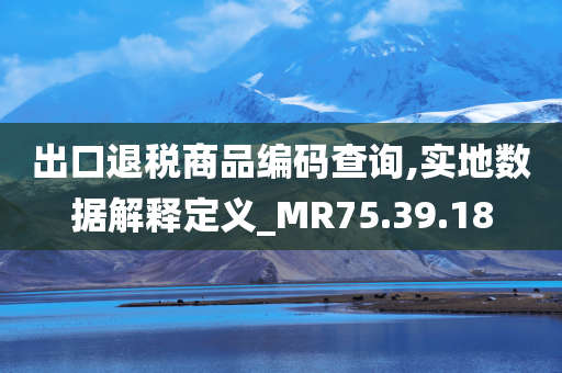 出口退税商品编码查询,实地数据解释定义_MR75.39.18