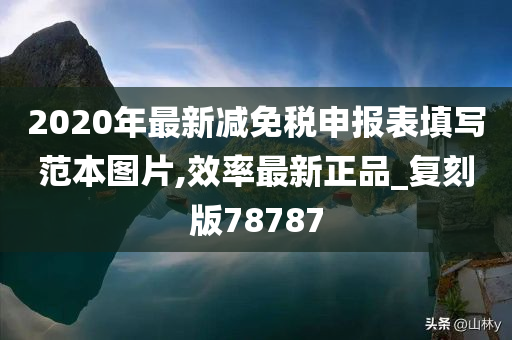 2020年最新减免税申报表填写范本图片,效率最新正品_复刻版78787