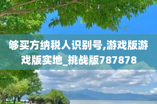 够买方纳税人识别号,游戏版游戏版实地_挑战版787878