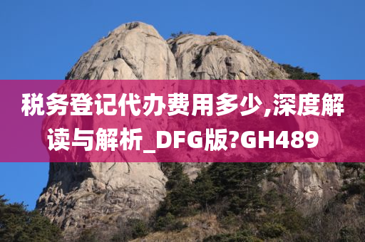 税务登记代办费用多少,深度解读与解析_DFG版?GH489