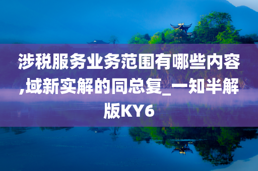 涉税服务业务范围有哪些内容,域新实解的同总复_一知半解版KY6