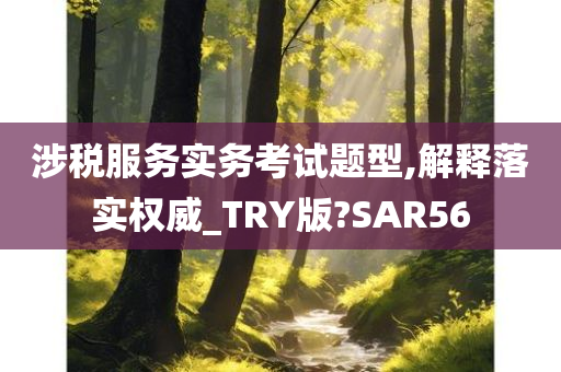 涉税服务实务考试题型,解释落实权威_TRY版?SAR56