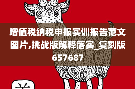 增值税纳税申报实训报告范文图片,挑战版解释落实_复刻版657687