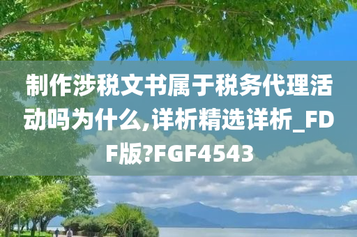 制作涉税文书属于税务代理活动吗为什么,详析精选详析_FDF版?FGF4543