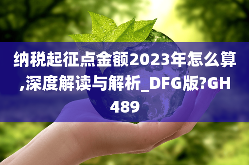 纳税起征点金额2023年怎么算,深度解读与解析_DFG版?GH489