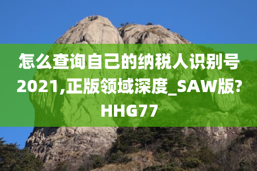 怎么查询自己的纳税人识别号2021,正版领域深度_SAW版?HHG77