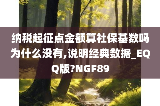 纳税起征点金额算社保基数吗为什么没有,说明经典数据_EQQ版?NGF89