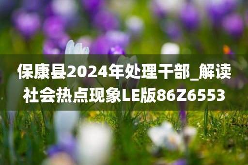 保康县2024年处理干部_解读社会热点现象LE版86Z6553