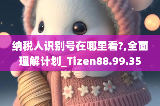 纳税人识别号在哪里看?,全面理解计划_Tizen88.99.35