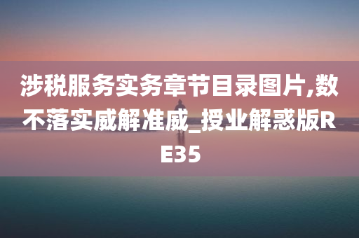 涉税服务实务章节目录图片,数不落实威解准威_授业解惑版RE35