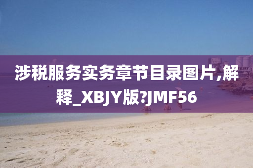 涉税服务实务章节目录图片,解释_XBJY版?JMF56