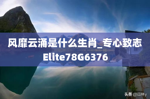 风靡云涌是什么生肖_专心致志Elite78G6376