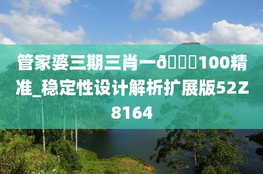 管家婆三期三肖一🐎100精准_稳定性设计解析扩展版52Z8164