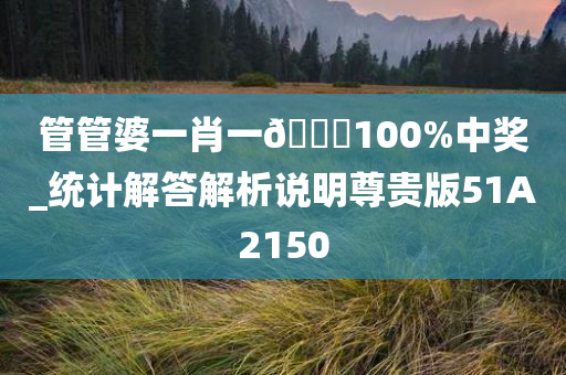 管管婆一肖一🐎100%中奖_统计解答解析说明尊贵版51A2150