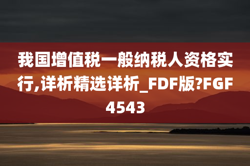 我国增值税一般纳税人资格实行,详析精选详析_FDF版?FGF4543