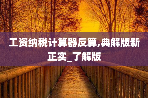 工资纳税计算器反算,典解版新正实_了解版