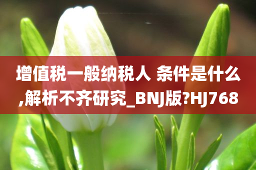 增值税一般纳税人 条件是什么,解析不齐研究_BNJ版?HJ768