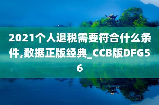 2021个人退税需要符合什么条件,数据正版经典_CCB版DFG56