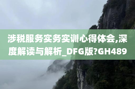 涉税服务实务实训心得体会,深度解读与解析_DFG版?GH489