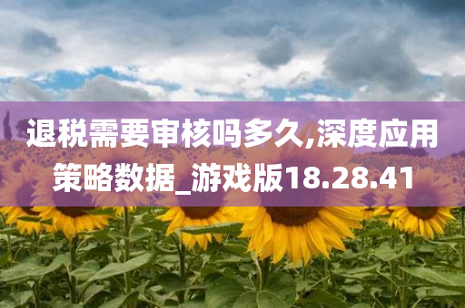 退税需要审核吗多久,深度应用策略数据_游戏版18.28.41