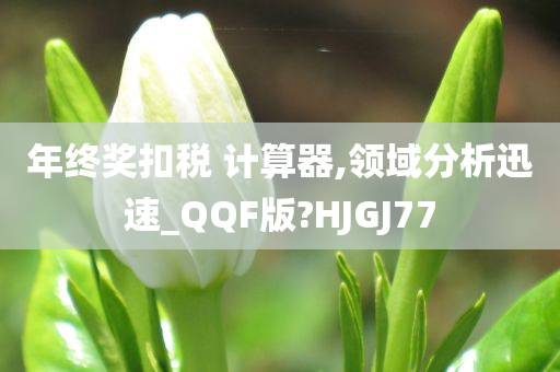 年终奖扣税 计算器,领域分析迅速_QQF版?HJGJ77