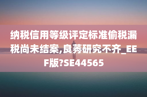 纳税信用等级评定标准偷税漏税尚未结案,良莠研究不齐_EEF版?SE44565