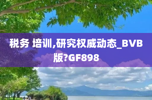 税务 培训,研究权威动态_BVB版?GF898