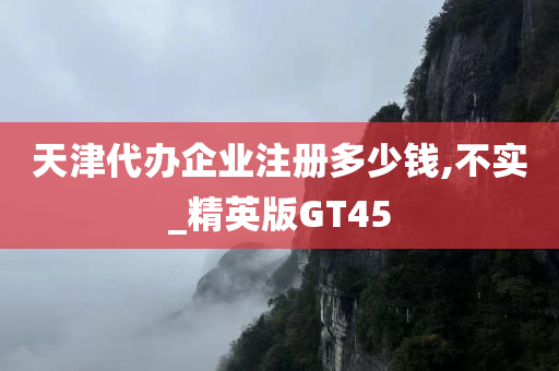 天津代办企业注册多少钱,不实_精英版GT45