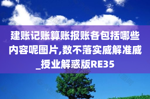 建账记账算账报账各包括哪些内容呢图片,数不落实威解准威_授业解惑版RE35