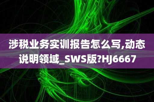 涉税业务实训报告怎么写,动态说明领域_SWS版?HJ6667