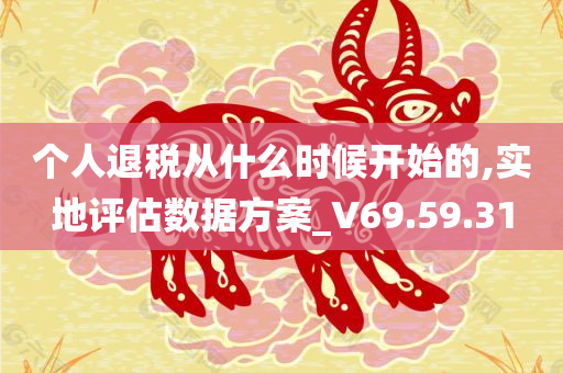 个人退税从什么时候开始的,实地评估数据方案_V69.59.31