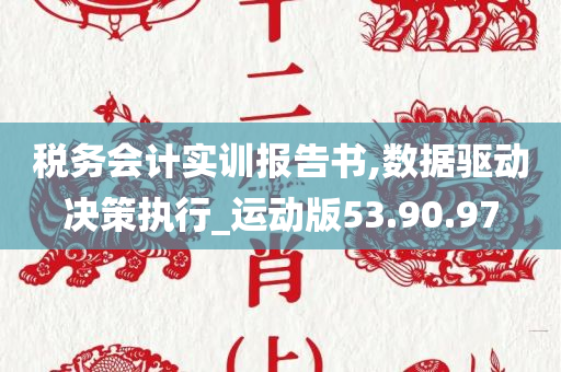 税务会计实训报告书,数据驱动决策执行_运动版53.90.97