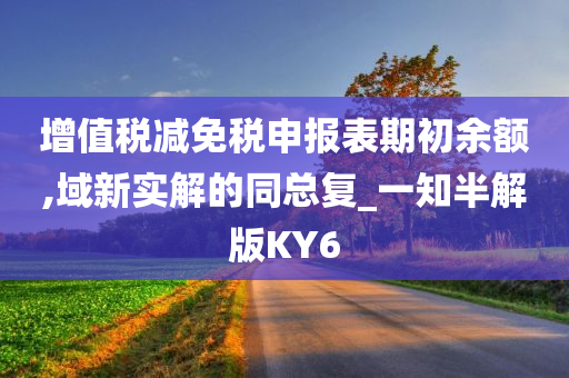 增值税减免税申报表期初余额,域新实解的同总复_一知半解版KY6