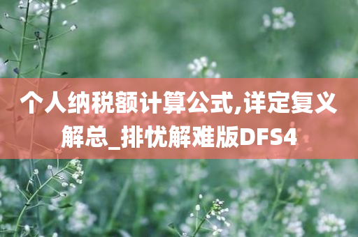 个人纳税额计算公式,详定复义解总_排忧解难版DFS4