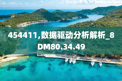 454411,数据驱动分析解析_8DM80.34.49