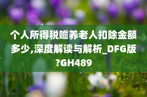 个人所得税赡养老人扣除金额多少,深度解读与解析_DFG版?GH489