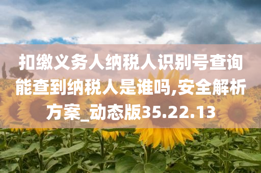 扣缴义务人纳税人识别号查询能查到纳税人是谁吗,安全解析方案_动态版35.22.13